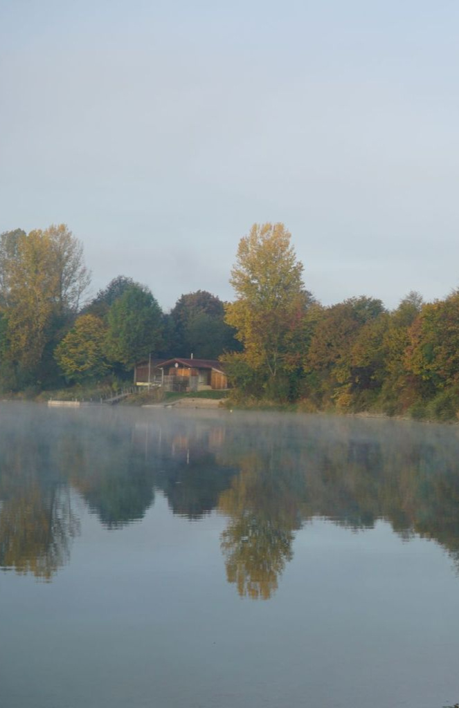 Zwei Hände, die eine kleine Pflanze halten